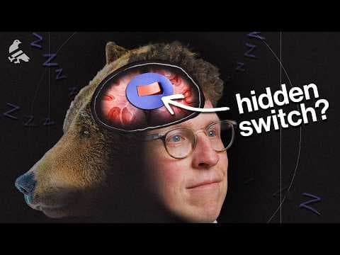 Triggering hibernation in humans