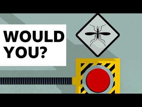 What if we wiped out all the mosquitoes in the world?
